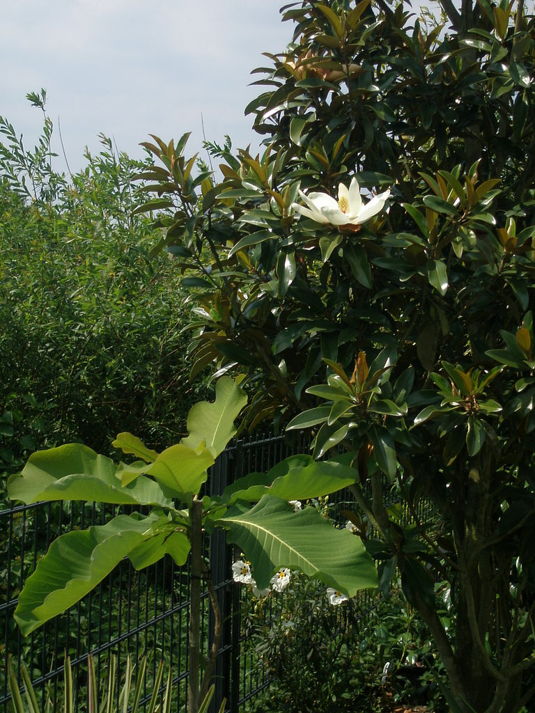 Image Hosted by ImageShack.us