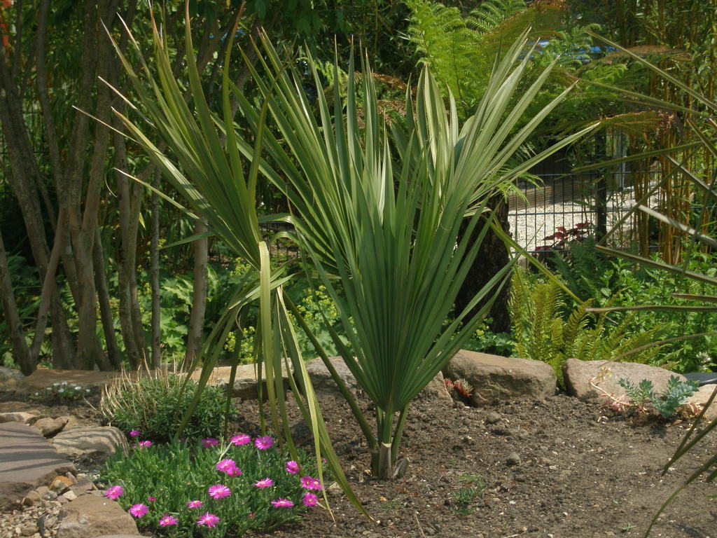 Image Hosted by ImageShack.us