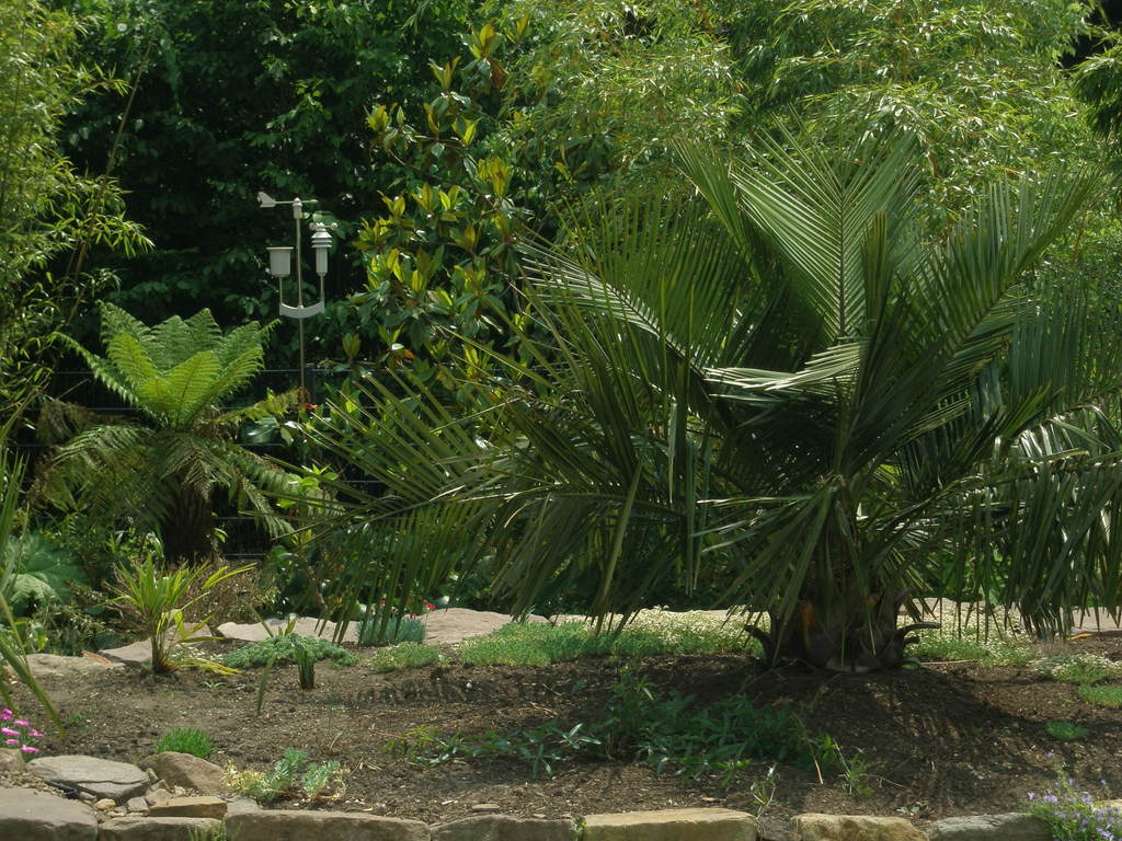 Image Hosted by ImageShack.us