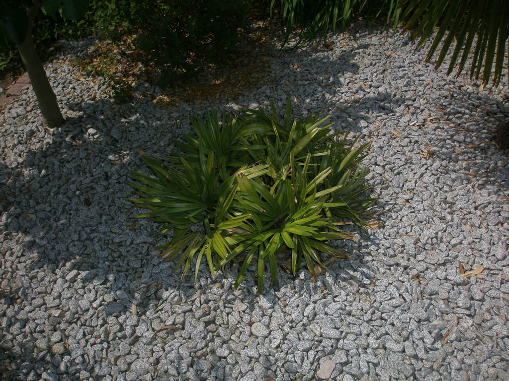 Image Hosted by ImageShack.us