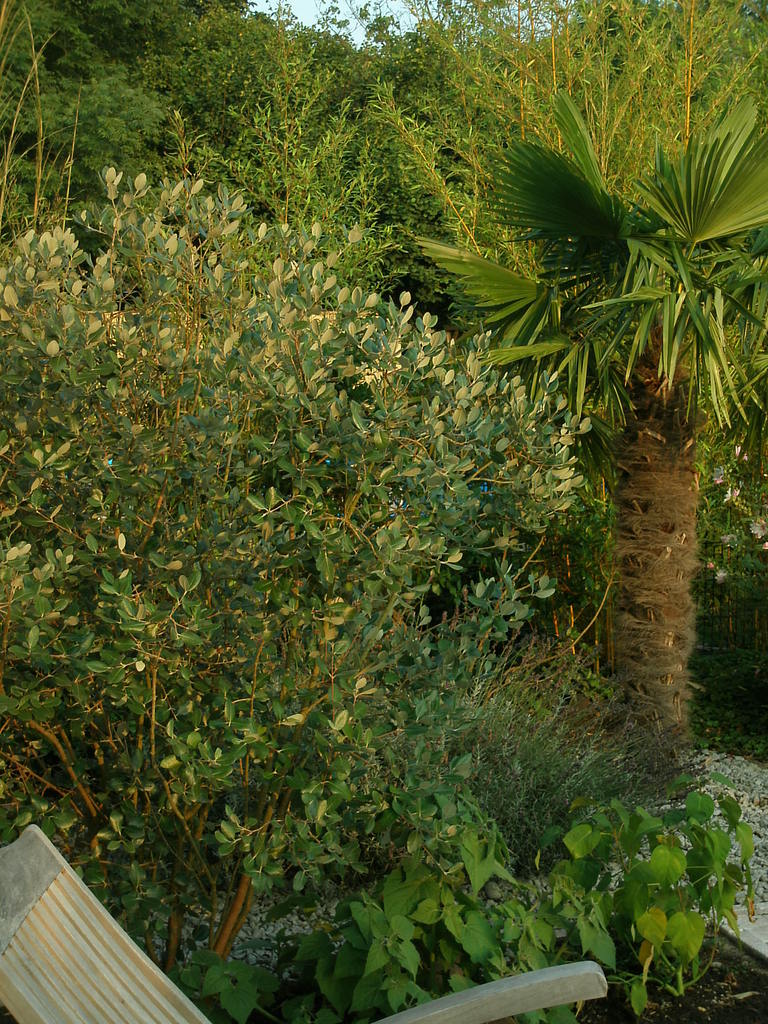 Image Hosted by ImageShack.us