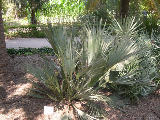 Image hosted by Photobucket.com