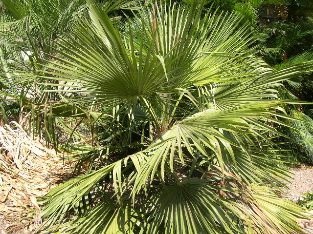 Image hosted by Photobucket.com