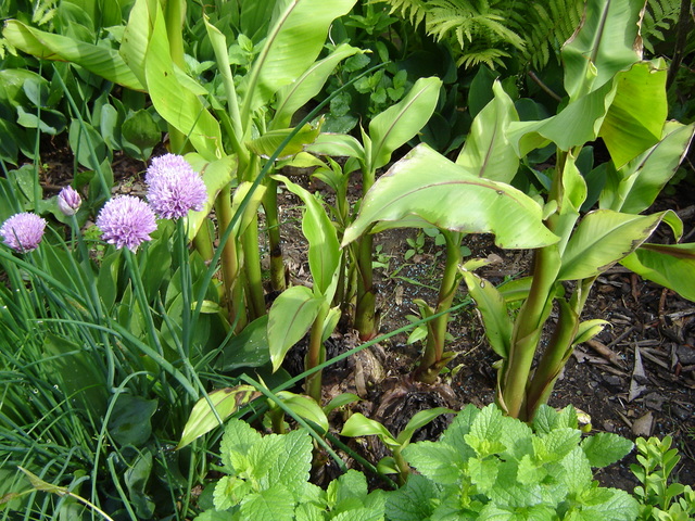 Image hosted by Photobucket.com