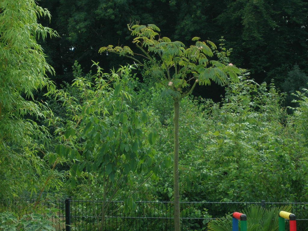 Image Hosted by ImageShack.us