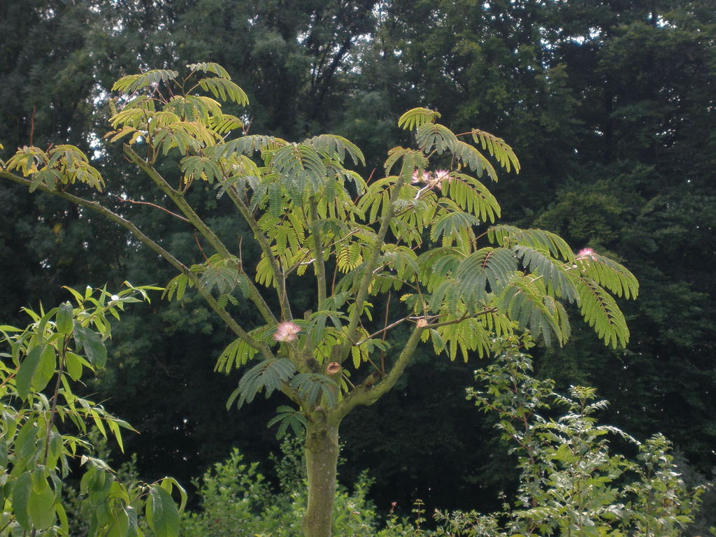 Image Hosted by ImageShack.us