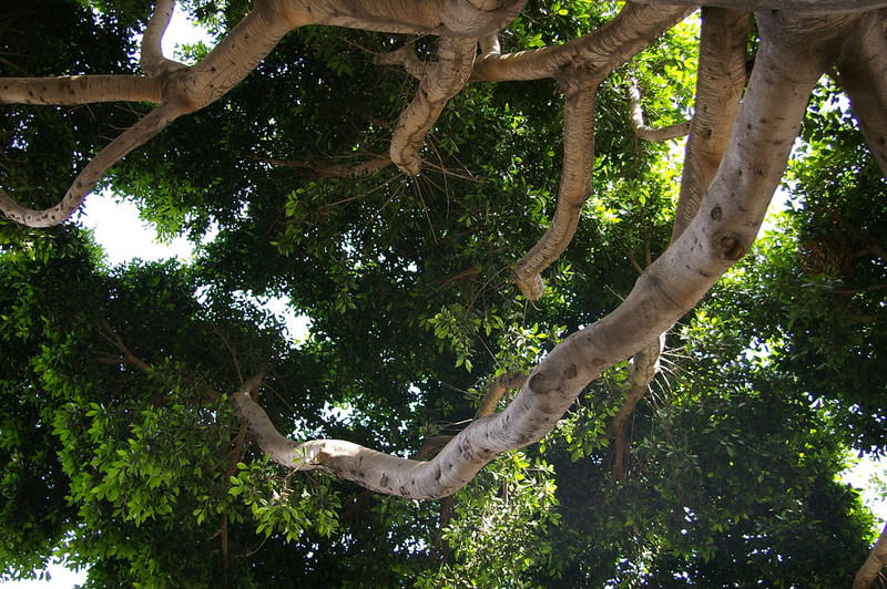 Photobucket - Video and Image Hosting