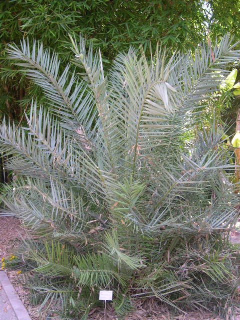 Image hosted by Photobucket.com