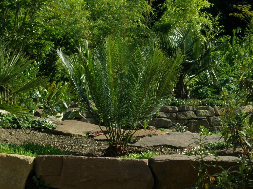 Image Hosted by ImageShack.us