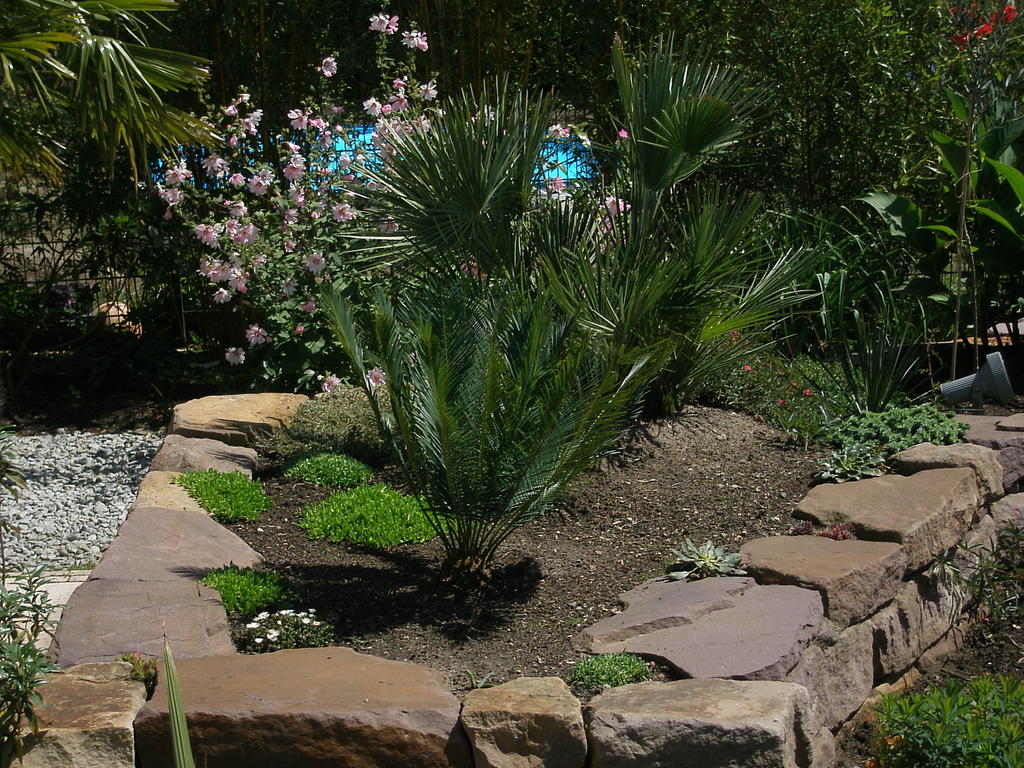 Image Hosted by ImageShack.us