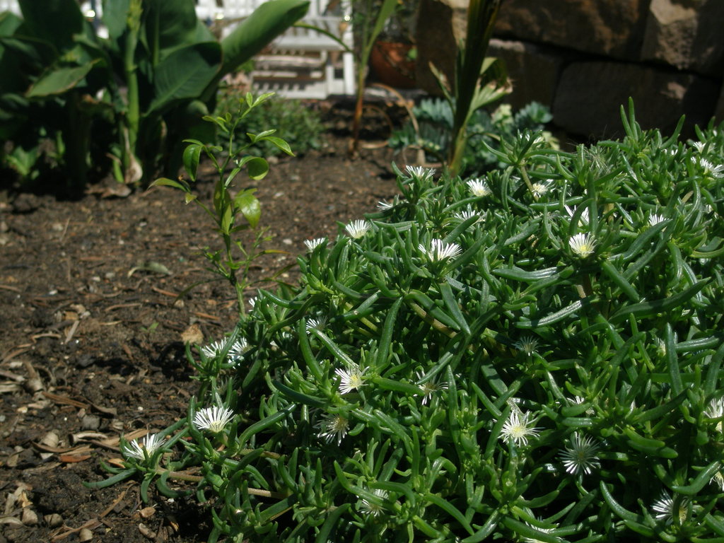 Image Hosted by ImageShack.us