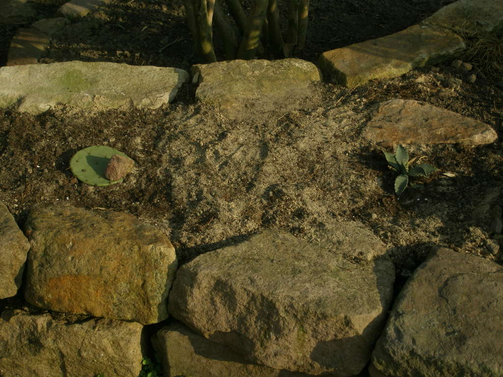 Image Hosted by ImageShack.us