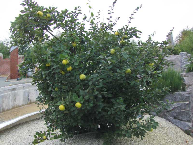 Image Hosted by ImageShack.us