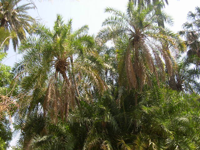 Image hosted by Photobucket.com