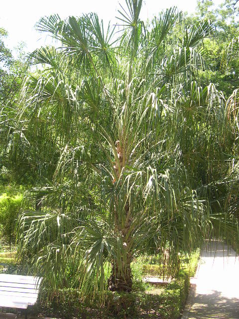 Image hosted by Photobucket.com