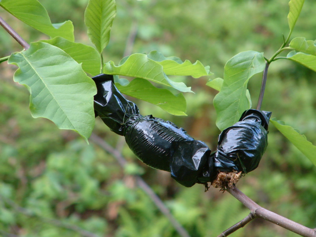 Image hosting by Photobucket