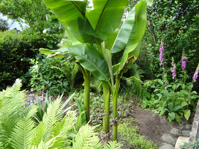 Image hosted by Photobucket.com