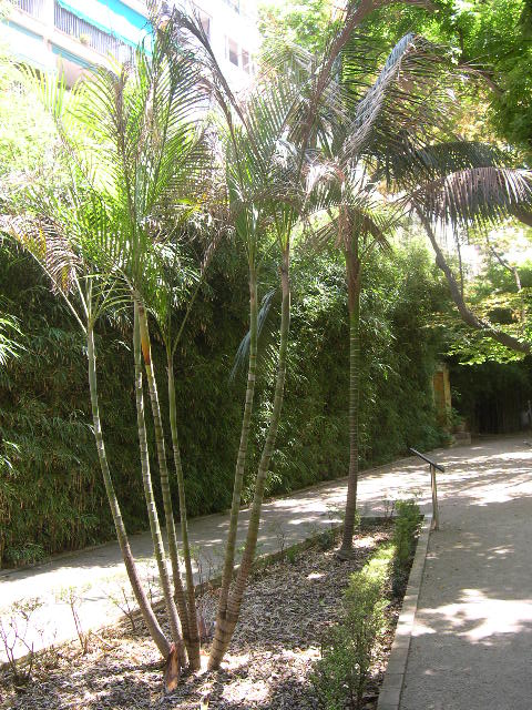 Image hosted by Photobucket.com