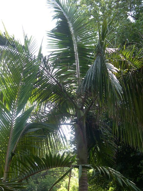 Image hosted by Photobucket.com