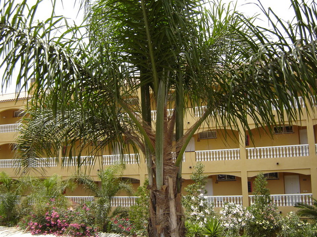 Image hosted by Photobucket.com