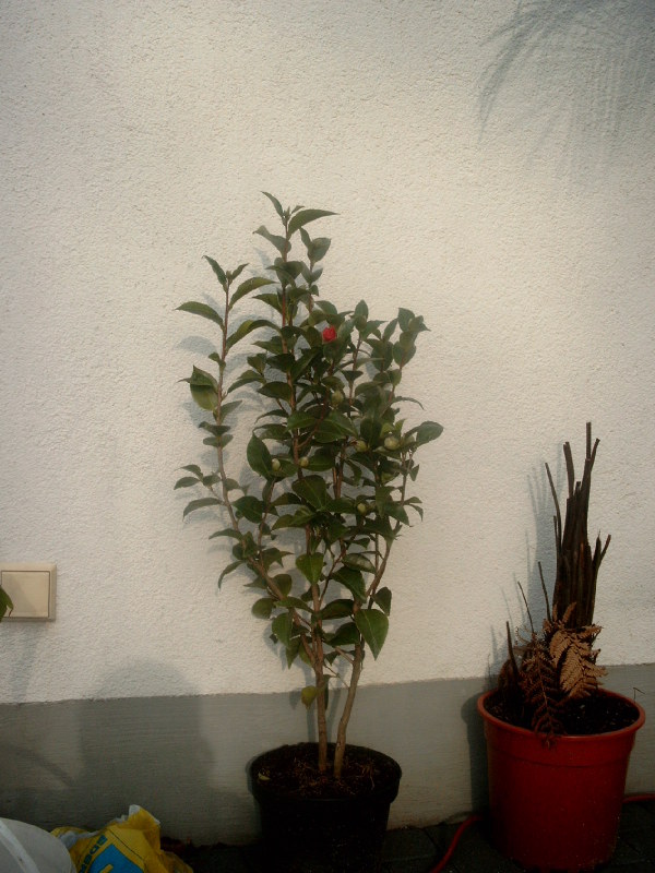 Photobucket - Video and Image Hosting