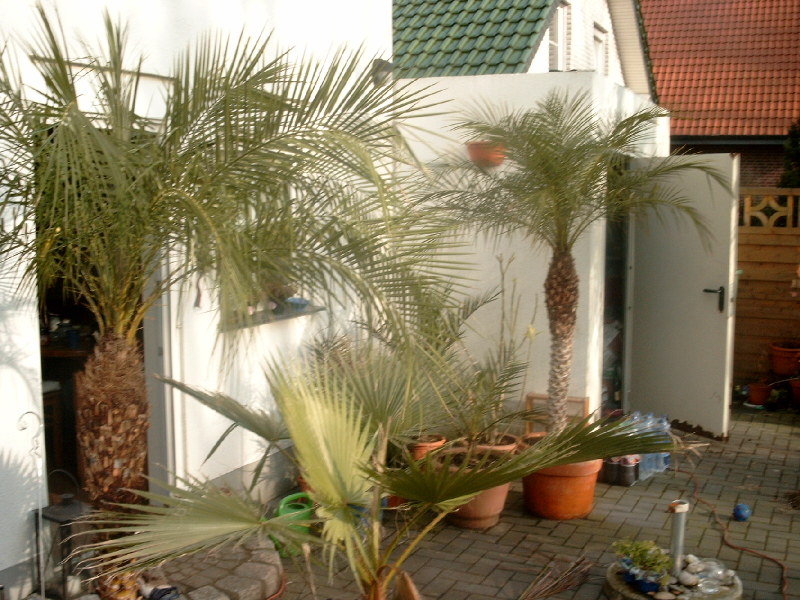 Photobucket - Video and Image Hosting