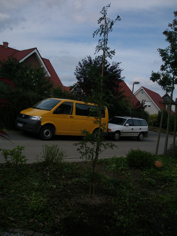 Image Hosted by ImageShack.us