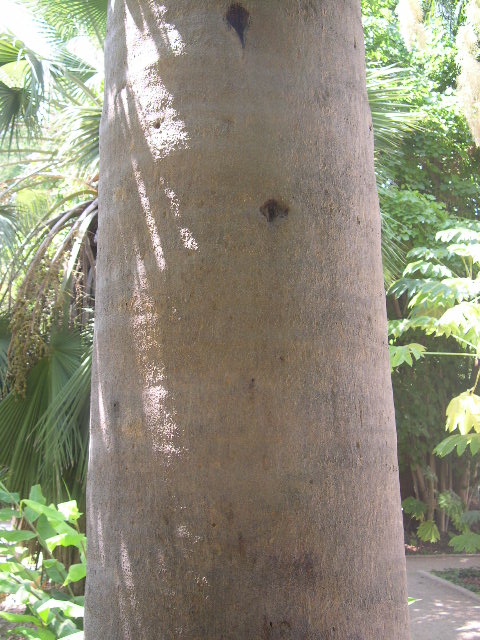 Image hosted by Photobucket.com