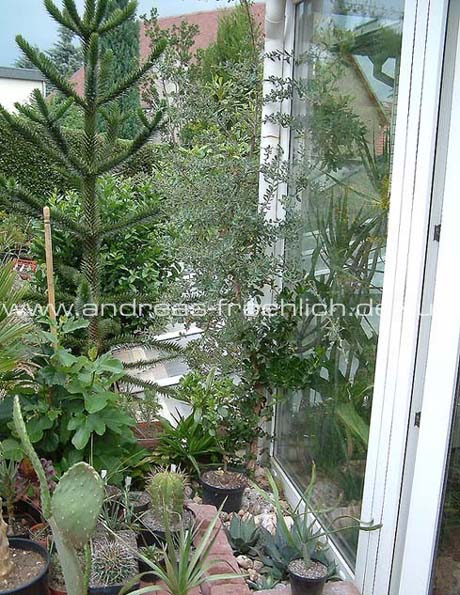 Image hosted by Photobucket.com