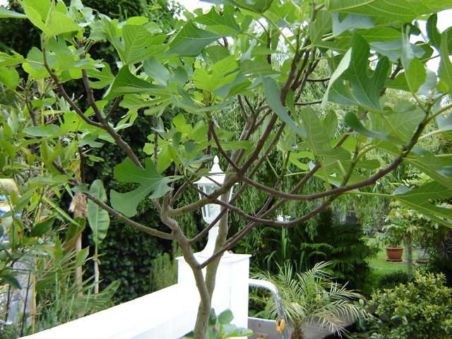 Image hosted by Photobucket.com