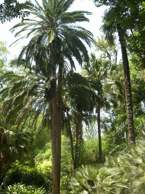 Image hosted by Photobucket.com