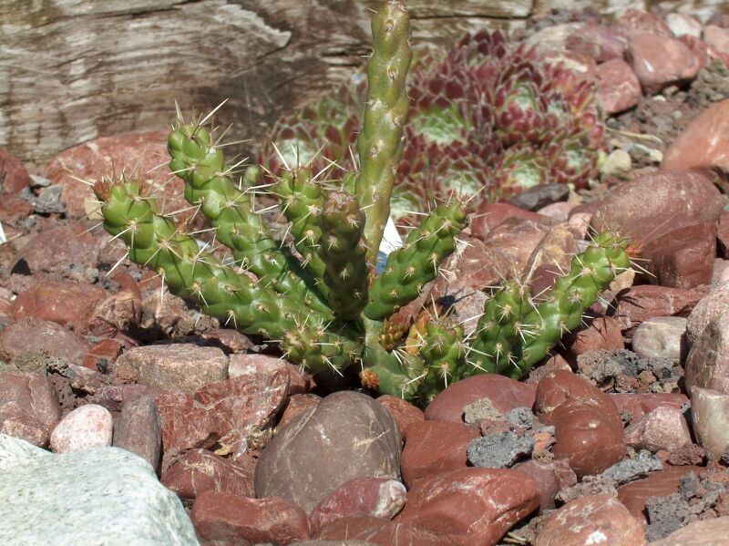 Image hosted by Photobucket.com