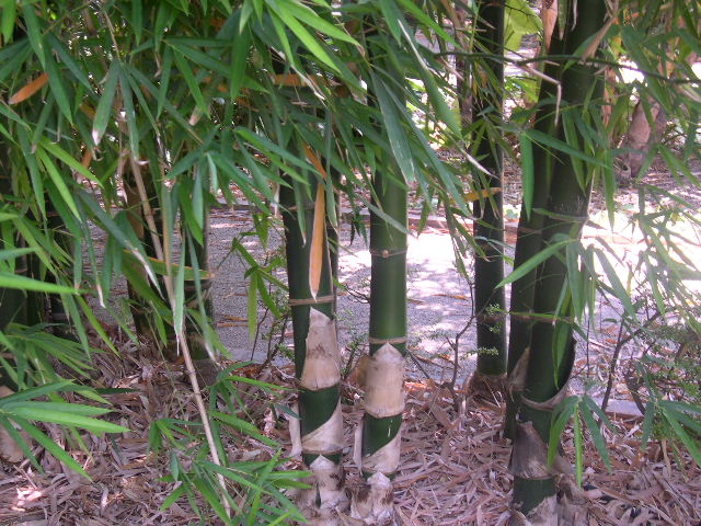 Image hosted by Photobucket.com