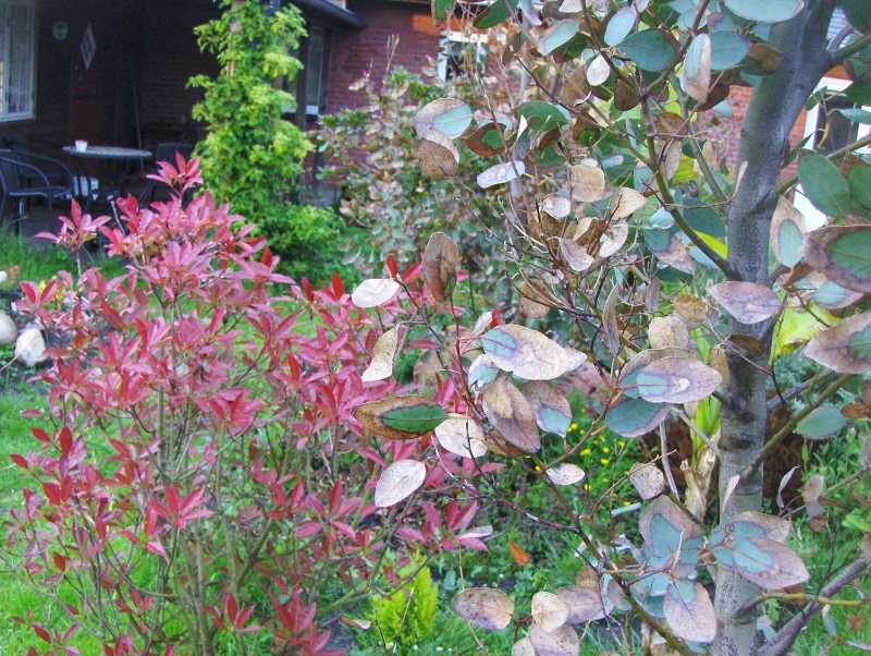 Image Hosted by ImageShack.us