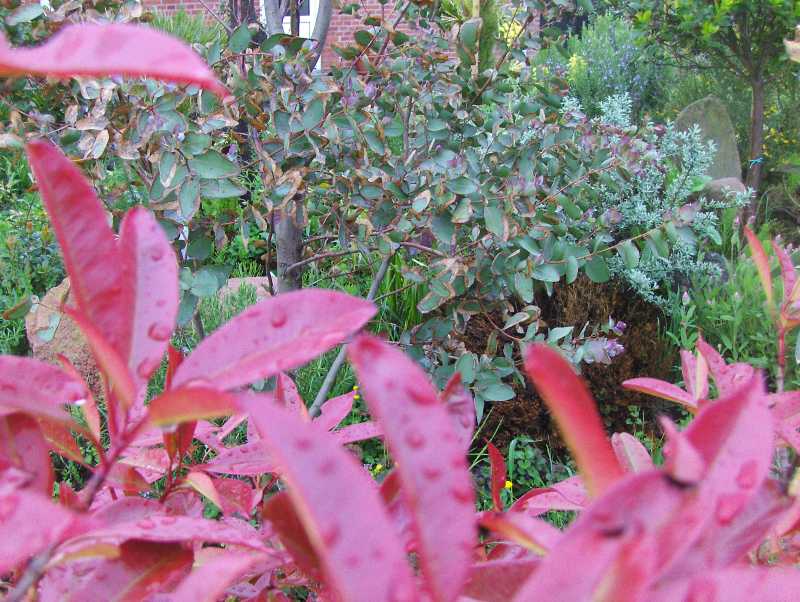 Image Hosted by ImageShack.us