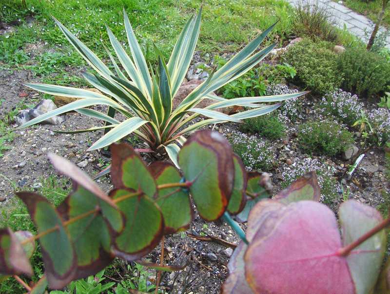 Image Hosted by ImageShack.us