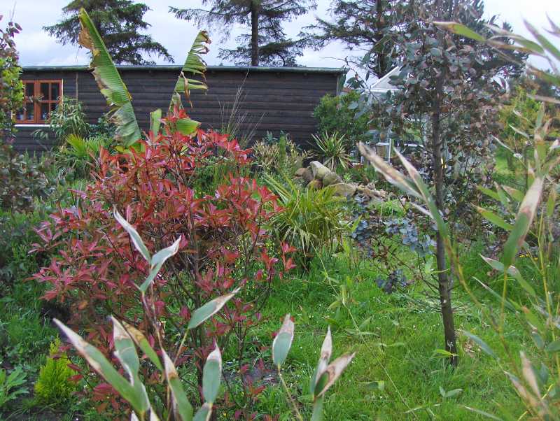 Image Hosted by ImageShack.us