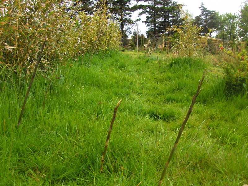 Image Hosted by ImageShack.us