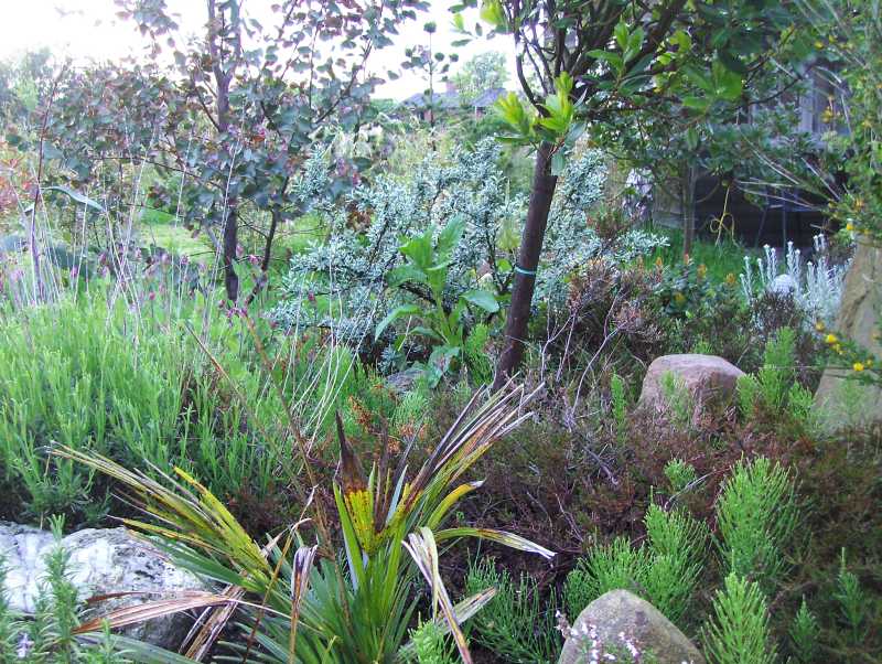 Image Hosted by ImageShack.us