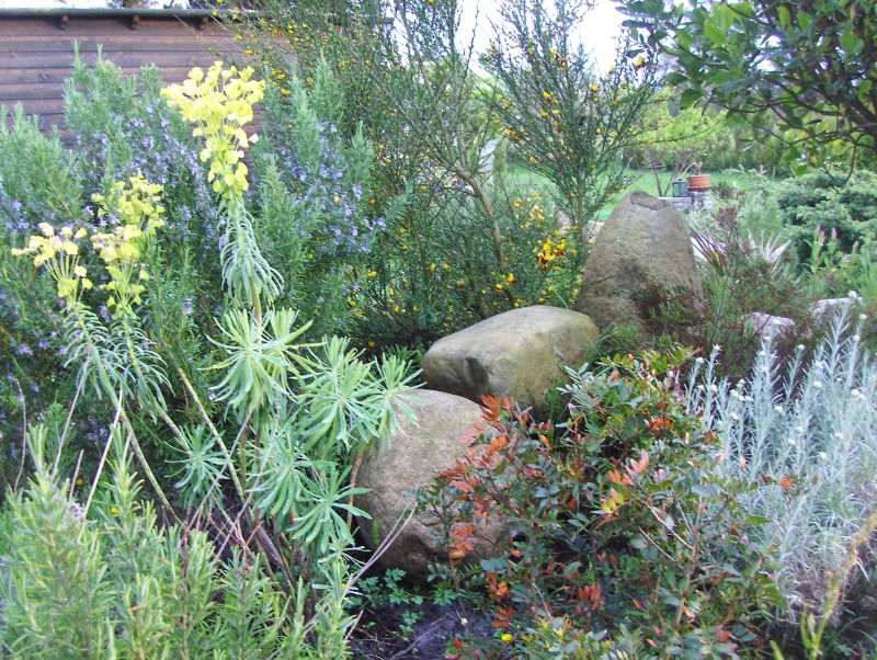 Image Hosted by ImageShack.us