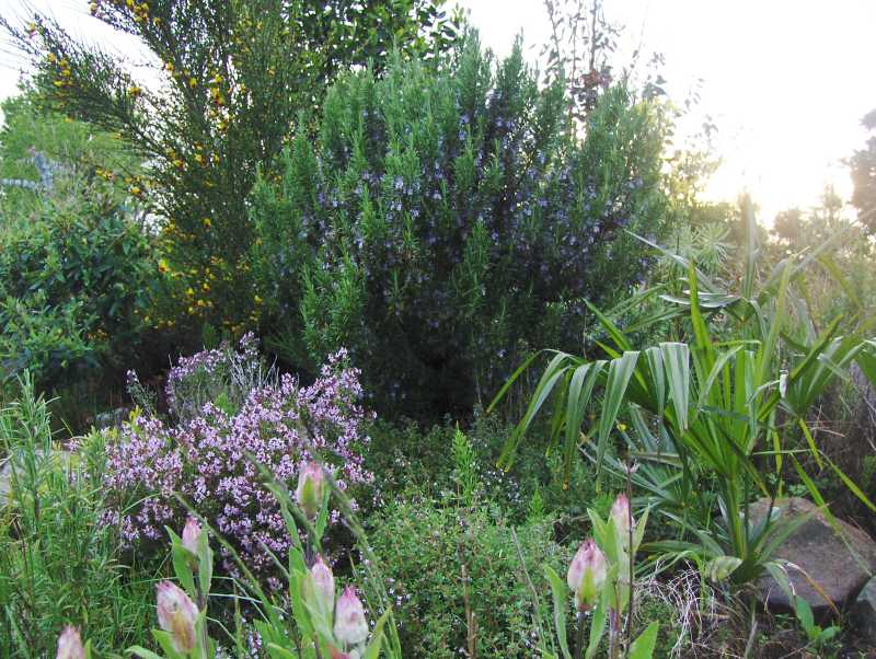 Image Hosted by ImageShack.us