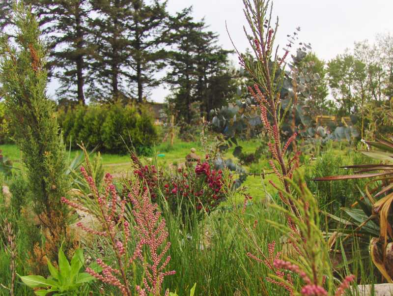 Image Hosted by ImageShack.us