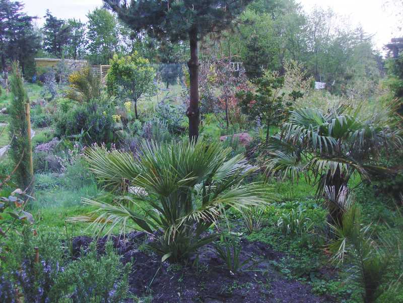 Image Hosted by ImageShack.us