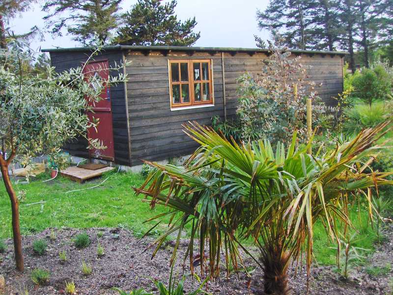 Image Hosted by ImageShack.us