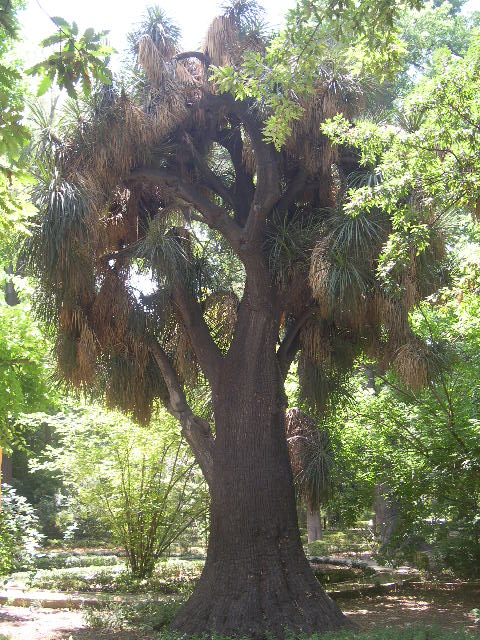 Image hosted by Photobucket.com