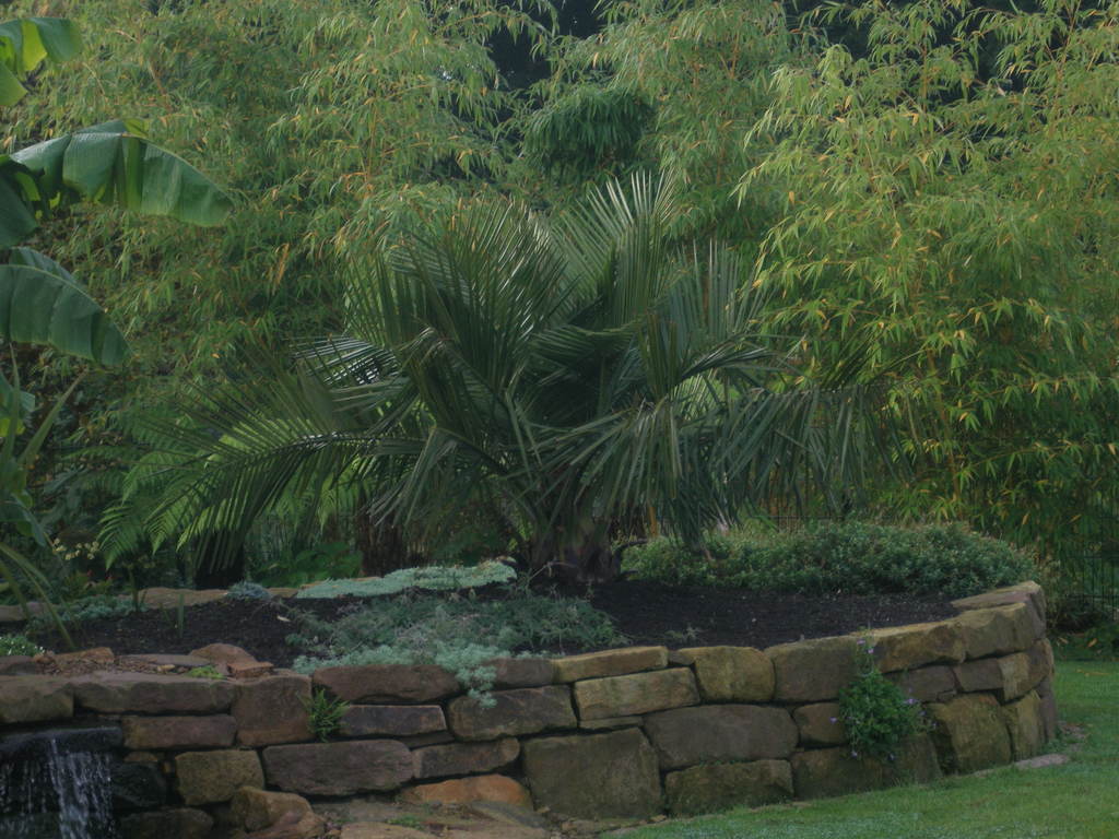 Image Hosted by ImageShack.us