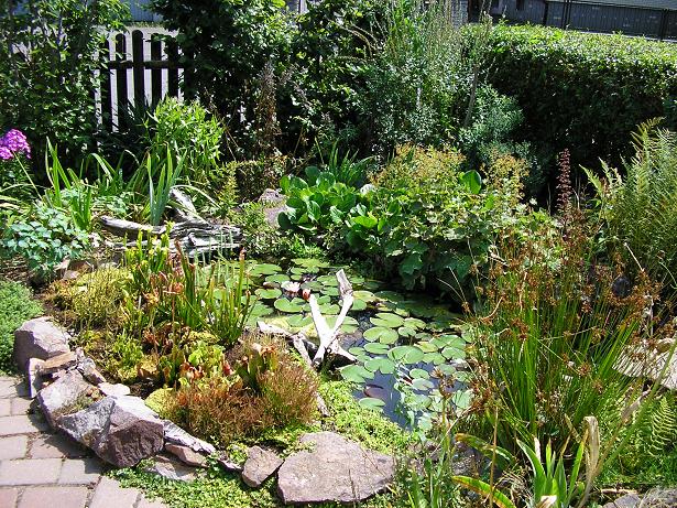 Image hosted by Photobucket.com