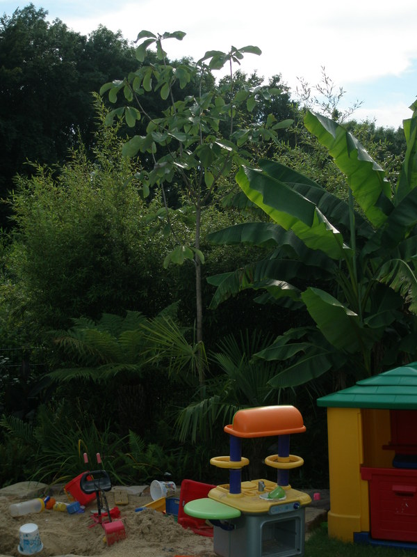 Image Hosted by ImageShack.us