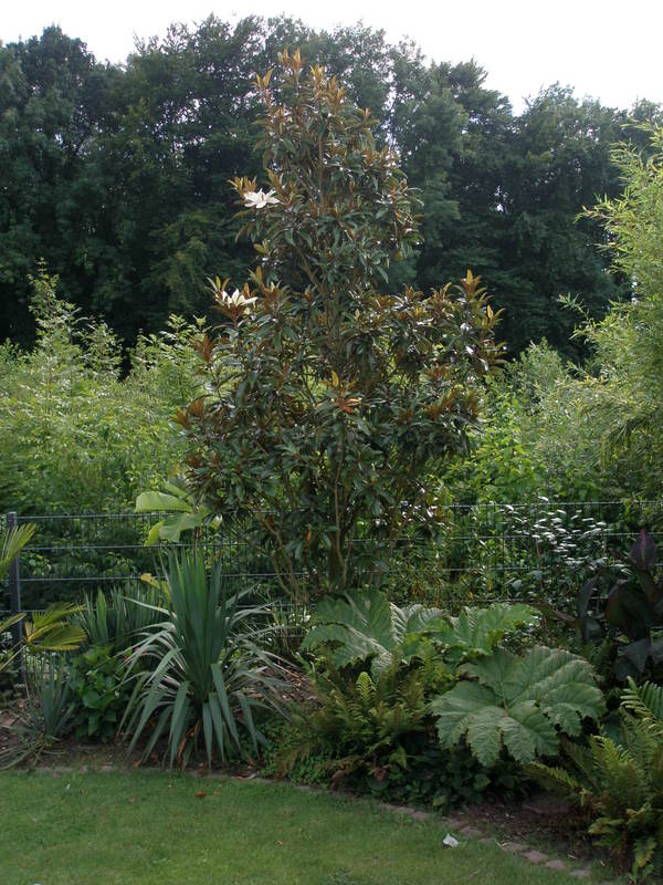 Image Hosted by ImageShack.us