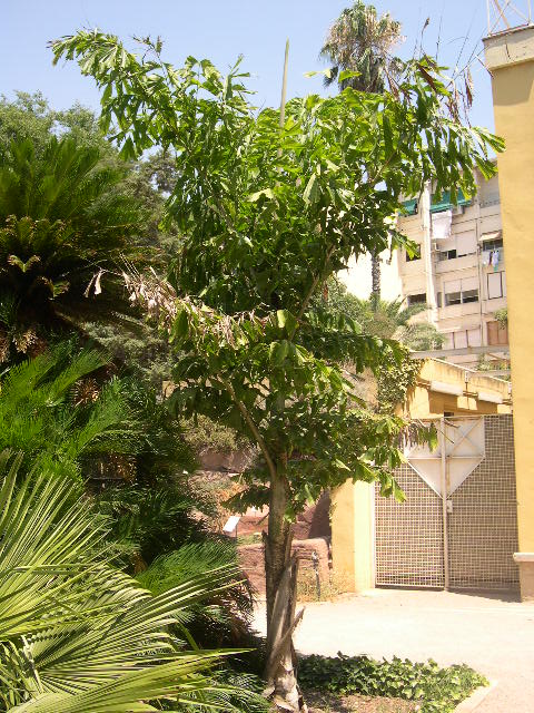 Image hosted by Photobucket.com